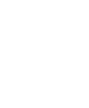 Leapmotor